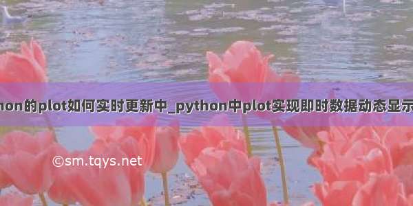 python的plot如何实时更新中_python中plot实现即时数据动态显示方法