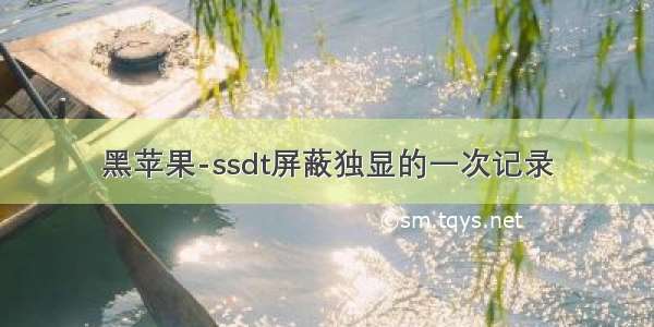 黑苹果-ssdt屏蔽独显的一次记录