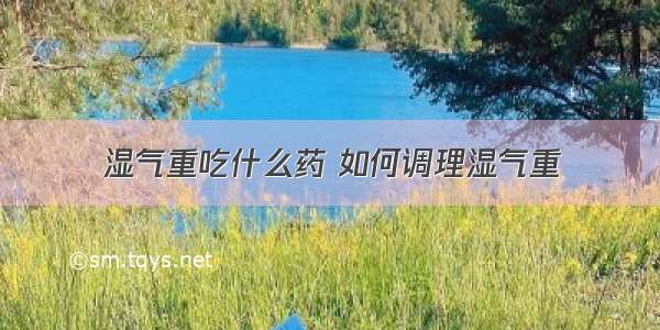 湿气重吃什么药 如何调理湿气重