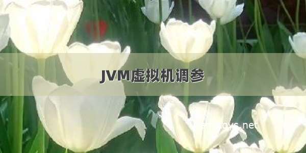 JVM虚拟机调参