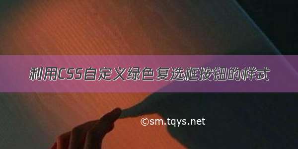 利用CSS自定义绿色复选框按钮的样式