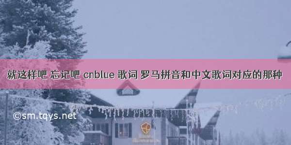 就这样吧 忘记吧 cnblue 歌词 罗马拼音和中文歌词对应的那种