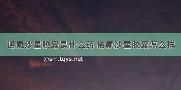 诺氟沙星胶囊是什么药 诺氟沙星胶囊怎么样