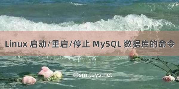 Linux 启动/重启/停止 MySQL 数据库的命令