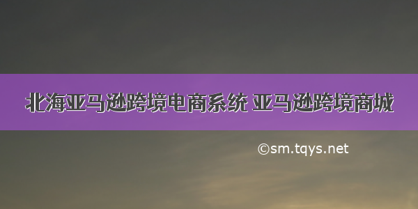 北海亚马逊跨境电商系统 亚马逊跨境商城