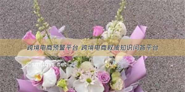 跨境电商预警平台 跨境电商权威知识问答平台