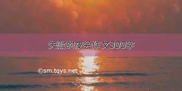 失败的夜会作文300字