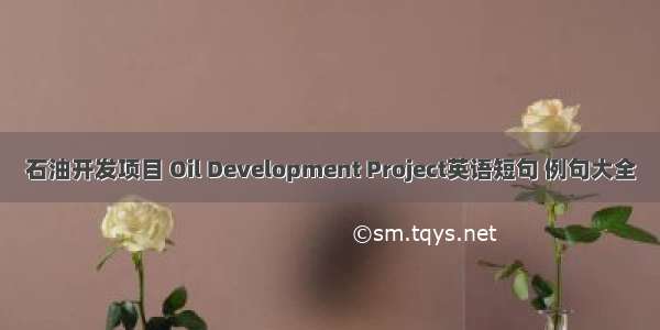 石油开发项目 Oil Development Project英语短句 例句大全