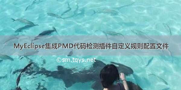 MyEclipse集成PMD代码检测插件自定义规则配置文件