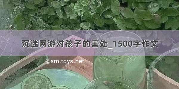 沉迷网游对孩子的害处_1500字作文