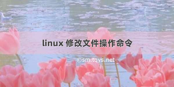 linux 修改文件操作命令