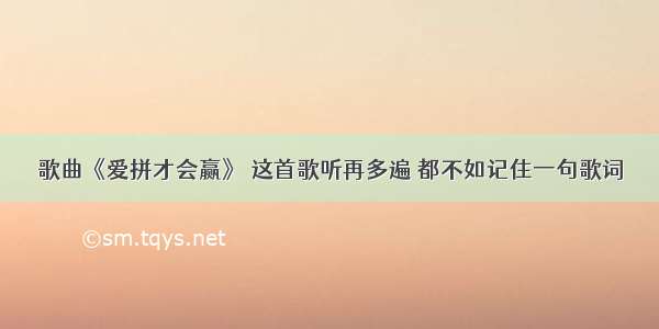 歌曲《爱拼才会赢》 这首歌听再多遍 都不如记住一句歌词