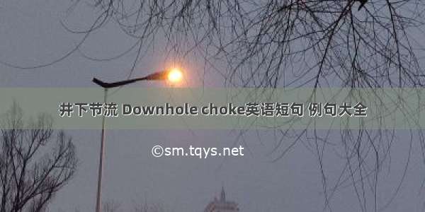 井下节流 Downhole choke英语短句 例句大全