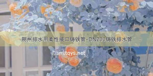 朔州排水用柔性接口铸铁管-DN200铸铁排水管