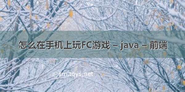 怎么在手机上玩FC游戏 – java – 前端