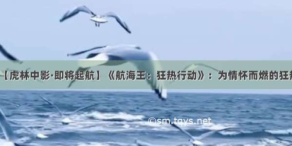 【虎林中影·即将起航】《航海王：狂热行动》：为情怀而燃的狂热