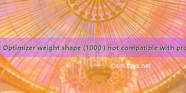 ValueError: Optimizer weight shape (1000 ) not compatible with provided weig