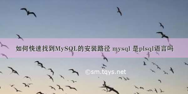 如何快速找到MySQL的安装路径 mysql 是plsql语言吗