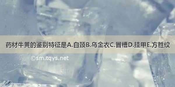 药材牛黄的鉴别特征是A.白颈B.乌金衣C.冒槽D.挂甲E.方胜纹