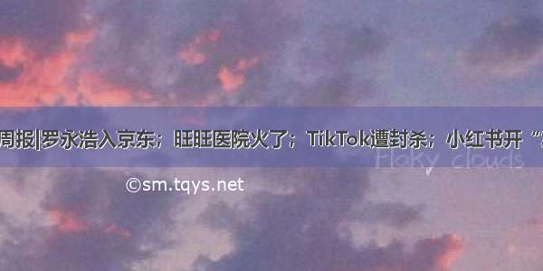 营销周报|罗永浩入京东；旺旺医院火了；TikTok遭封杀；小红书开“卖”！