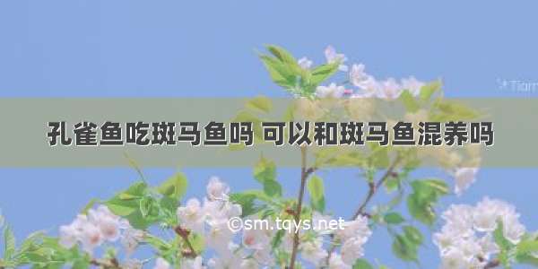 孔雀鱼吃斑马鱼吗 可以和斑马鱼混养吗