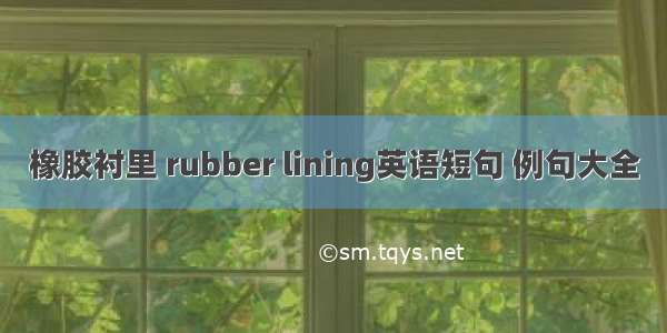 橡胶衬里 rubber lining英语短句 例句大全