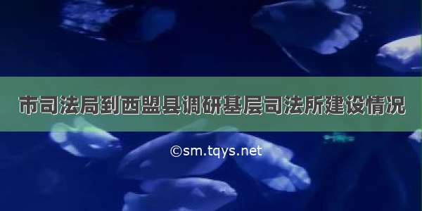 市司法局到西盟县调研基层司法所建设情况