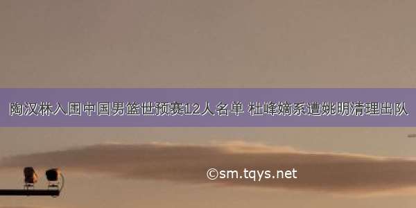 陶汉林入围中国男篮世预赛12人名单 杜峰嫡系遭姚明清理出队