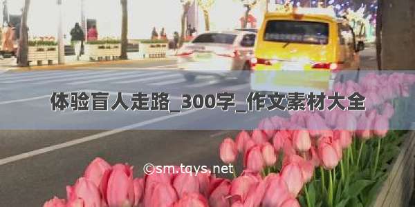 体验盲人走路_300字_作文素材大全