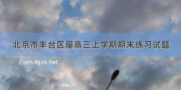 北京市丰台区届高三上学期期末练习试题