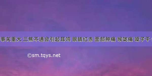 三焦经事关重大 三焦不通会引起耳鸣 眼睛红赤 面部肿痛 喉咙痛 嗓子干 偏头痛 