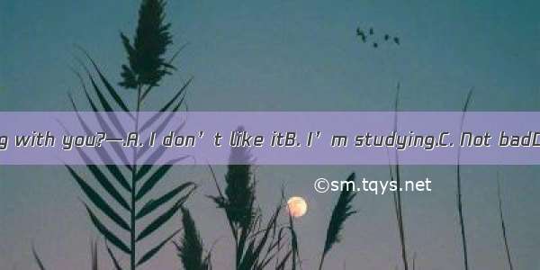 —How’s it going with you?—.A. I don’t like itB. I’m studying.C. Not badD. It’s windy