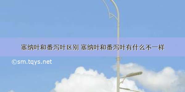 塞纳叶和番泻叶区别 塞纳叶和番泻叶有什么不一样