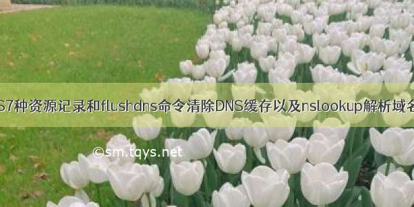 windows之DNS7种资源记录和flushdns命令清除DNS缓存以及nslookup解析域名和ipconfig/a