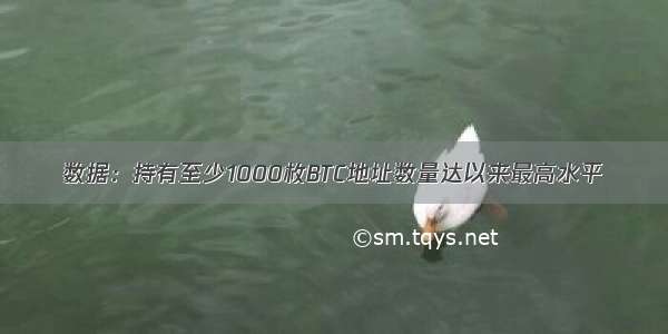 数据：持有至少1000枚BTC地址数量达以来最高水平