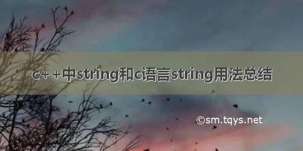 c++中string和c语言string用法总结