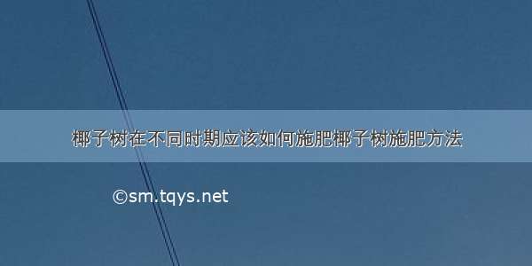 椰子树在不同时期应该如何施肥椰子树施肥方法