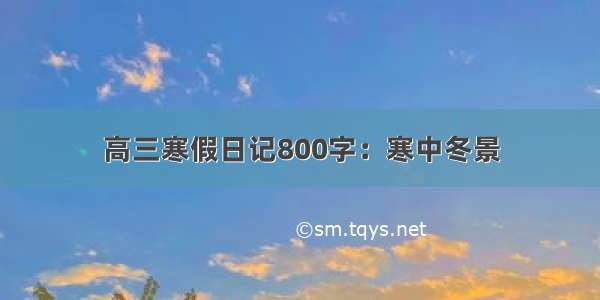 高三寒假日记800字：寒中冬景