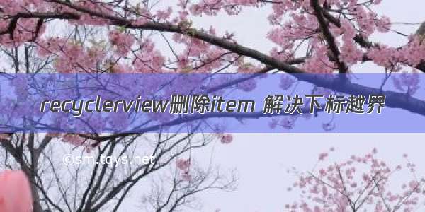 recyclerview删除item 解决下标越界