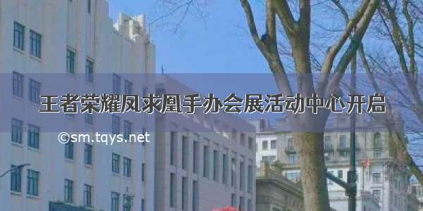 王者荣耀凤求凰手办会展活动中心开启