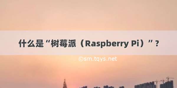 什么是“树莓派（Raspberry Pi）”？