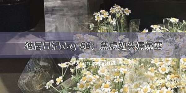 独居日记day 66：焦虑如头痛鼻塞