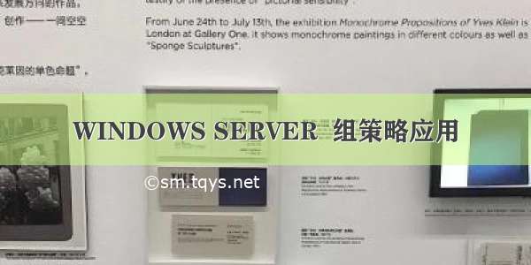 WINDOWS SERVER  组策略应用