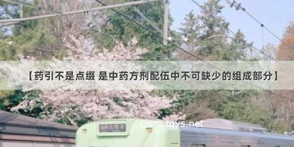 【药引不是点缀 是中药方剂配伍中不可缺少的组成部分】