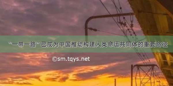 “一带一路”已成为中国推动构建人类命运共同体的重要路径