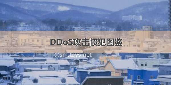 DDoS攻击惯犯图鉴