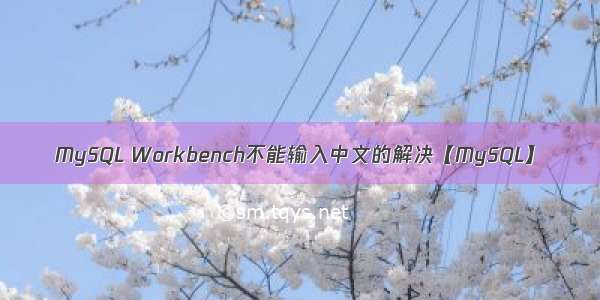 MySQL Workbench不能输入中文的解决【MySQL】