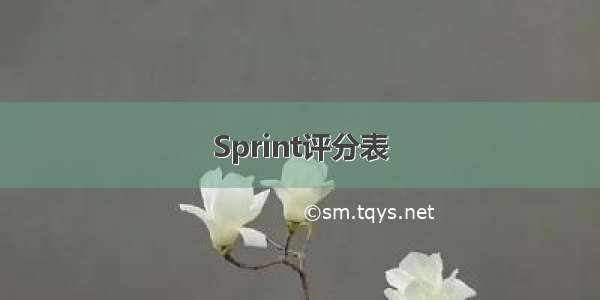 Sprint评分表