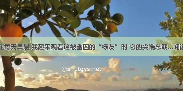 可是在每天早晨 我起来观看这被幽囚的“绿友”时 它的尖端总朝...阅读答案