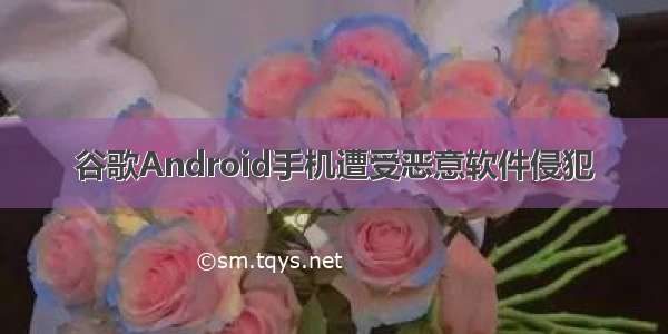 谷歌Android手机遭受恶意软件侵犯